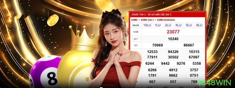 Experiência VIP 4848win